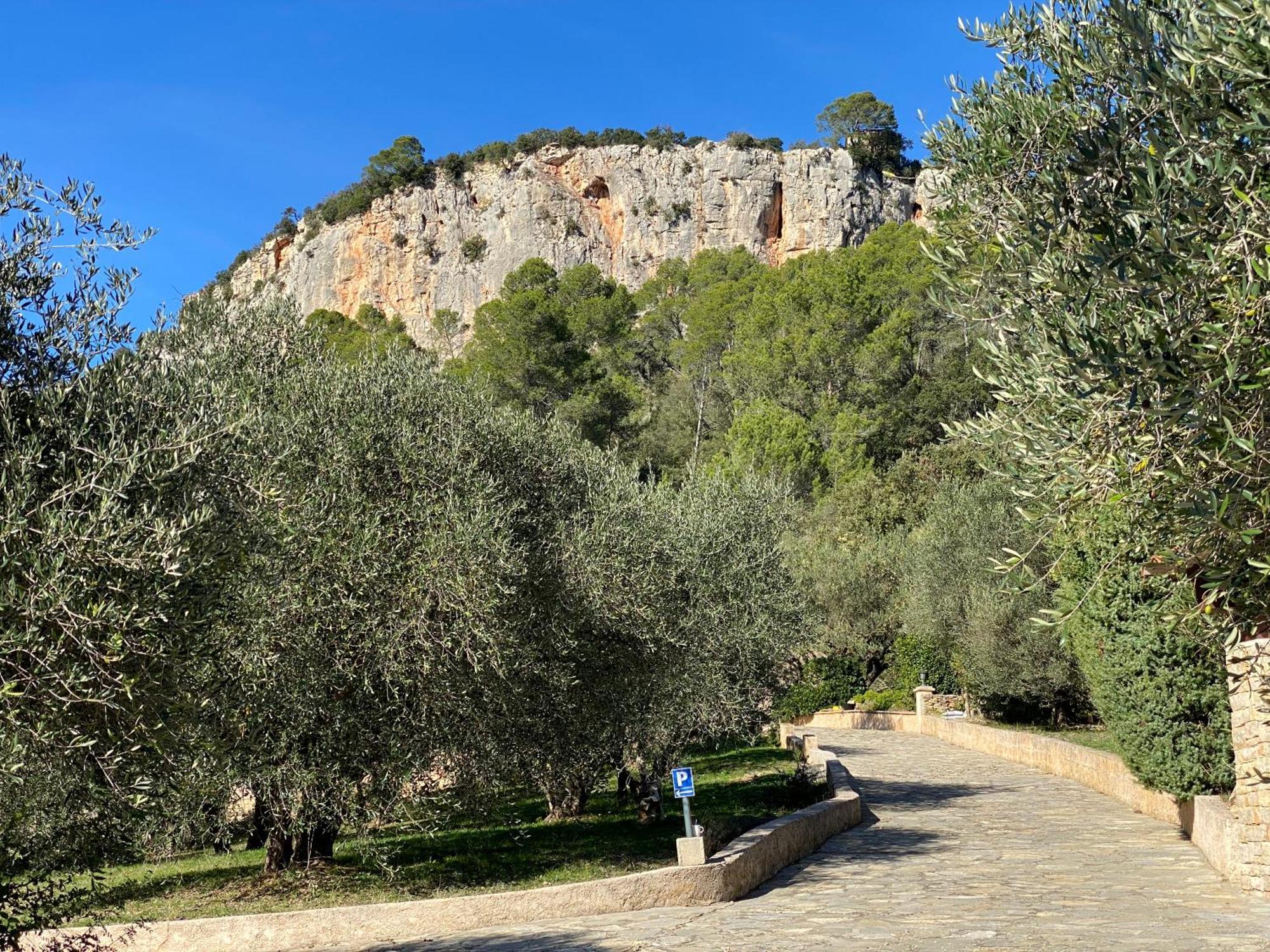 Le Mas De San Lou Cabasse Exterior photo